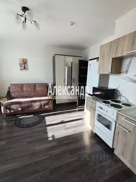 Студия Ленинградская область, Мурино Всеволожский район, просп. ...