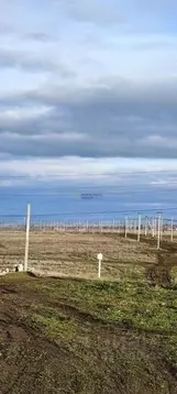 Участок в Крым, Симферопольский район, Николаевка пгт ул. Звездная ...