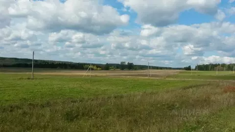 Участок в Пермский край, Ильинский муниципальный округ, с. ...