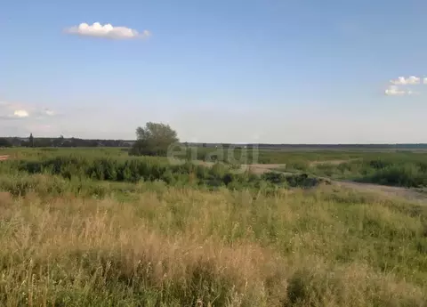 Участок в Челябинская область, Красноармейский муниципальный округ, ...