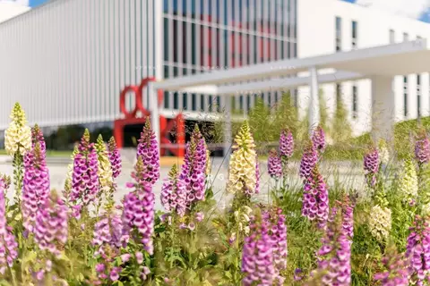 2-к кв. Москва Мосфильмовская ул., 1к3 (66.0 м)