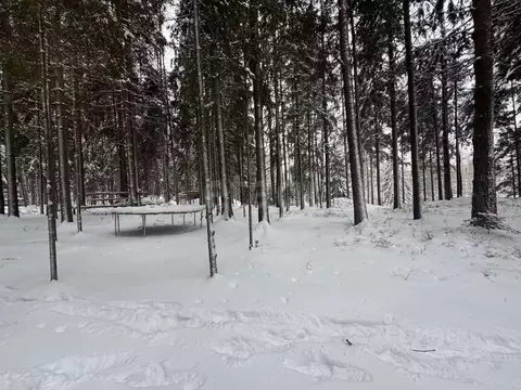 Участок в Санкт-Петербург пос. Репино, Ленгипроречтранс СНТ, ул. ...