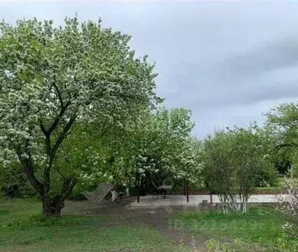 Дом в Амурская область, Благовещенский район, с. Егорьевка Центральная ...