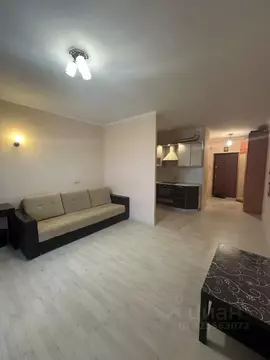 Студия Московская область, Балашиха городской округ, д. Павлино 66 ...