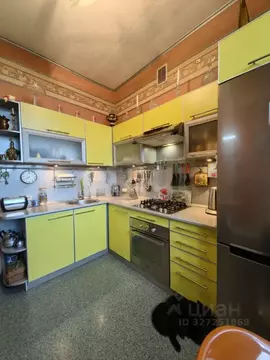 2-к кв. Пермский край, Кунгур Батальонная ул., 7 (62.5 м)