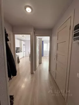 1-к кв. Санкт-Петербург Парашютная ул., 42к2 (34.0 м)