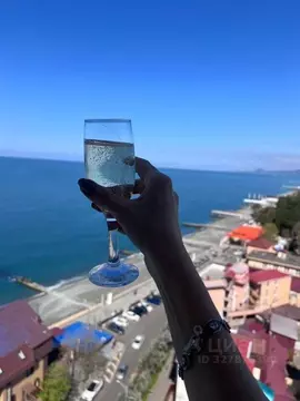 2-к кв. Краснодарский край, Сочи ул. Просвещения, 84 (49.0 м)