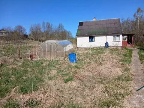 Дом в Ленинградская область, Лужский район, Володарское с/пос, д. ...