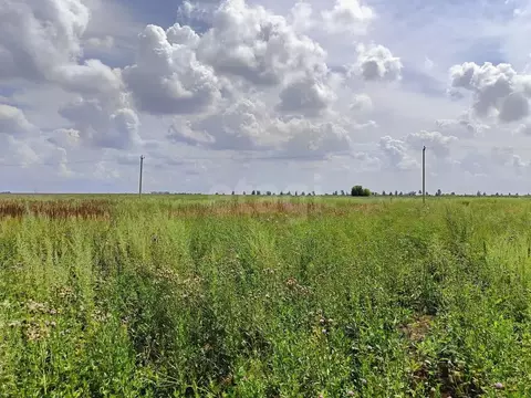 Участок в Тамбовская область, Тамбовский муниципальный округ, д. ...
