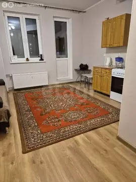 Квартира-студия: Мурино, Охтинская аллея, 14 (24.1 м)