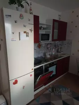 1-к кв. Санкт-Петербург пос. Песочный, Садовая ул., 88 (24.7 м)