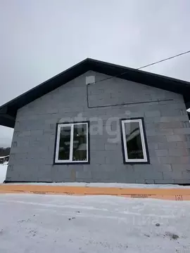 Дом в Пермский край, Пермский муниципальный округ, д. Горшки  (60 м)