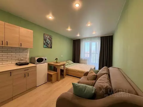 Студия Новосибирская область, Новосибирск ул. Ясный Берег, 10 (30.0 м)