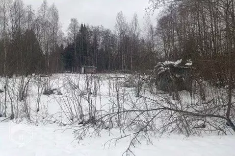 Участок в Новгородская область, Новгородский район, Ермолинское с/пос, ...