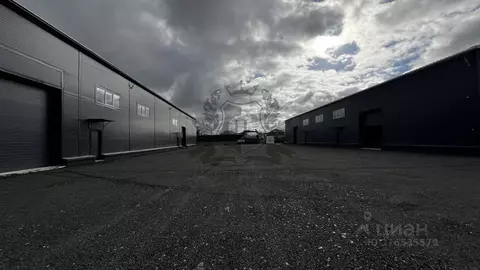 Производственное помещение в Ленинградская область, Ломоносовский ...