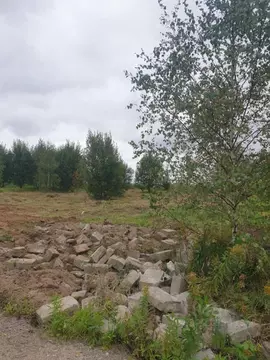 Участок в Москва д. Ширяево, аллея Березовая, 25 (9.0 сот.)