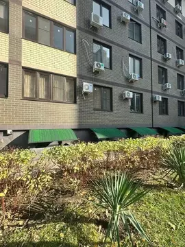 Помещение свободного назначения в Краснодарский край, Анапа ...