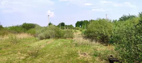 Участок в Тюмень, садовое общество Дубок (10 м)