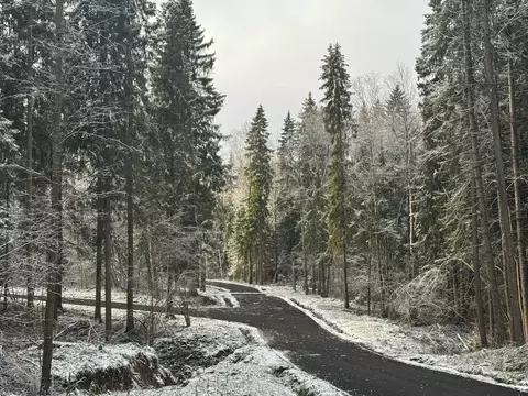 Участок в Московская область, Дмитровский муниципальный округ, пос. ...