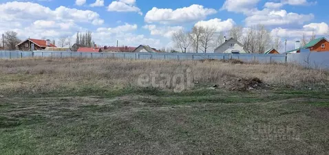 Участок в Воронежская область, Новоусманский район, Никольское с/пос, ...