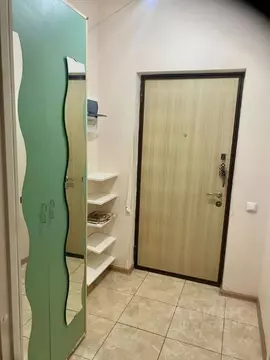 Студия Московская область, Ленинский городской округ, Мисайлово пгт, ...