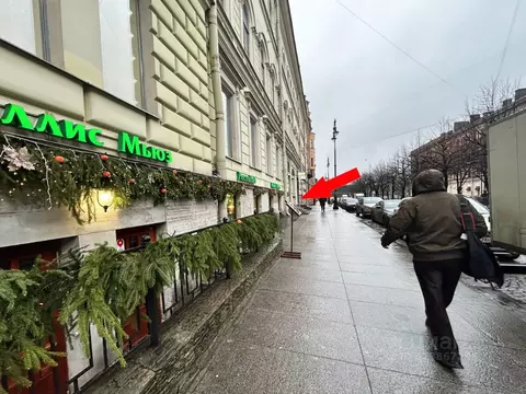 Помещение свободного назначения в Санкт-Петербург Большая Конюшенная ...