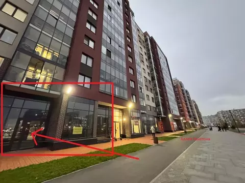 Помещение свободного назначения в Ленинградская область, Всеволожский ...