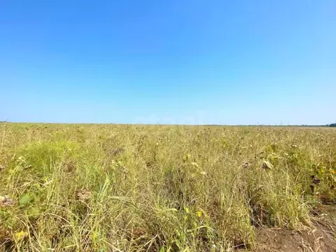 Участок в Краснодарский край, Ейск  (6.0 сот.)