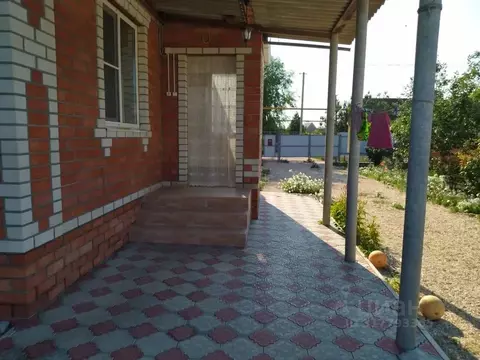 Дом в Краснодарский край, Ейский район, Должанская ст-ца ул. Ленина, ...