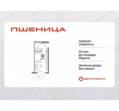 Студия Новосибирская область, Новосибирский район, Краснообск рп, 3-й ...