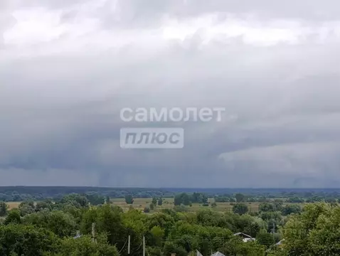 Участок в Рязанская область, Рыбновский муниципальный округ, с. ...