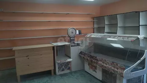 Помещение свободного назначения в Саратовская область, Воскресенский ...