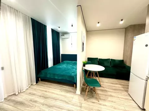 Студия Ростовская область, Ростов-на-Дону просп. Ленина, 46/2 (30.0 м)