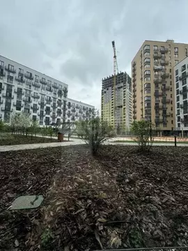 Помещение свободного назначения в Тюменская область, Тюмень ул. ...