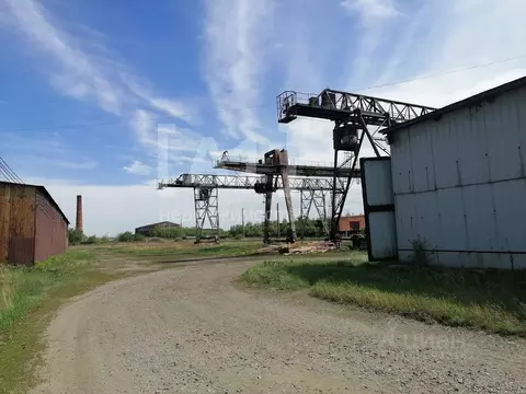 Производственное помещение в Челябинская область, Троицк Степная ул., ...