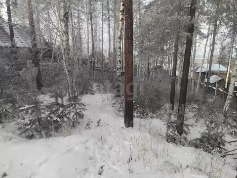 Участок в Иркутская область, Иркутский муниципальный округ, с. Мамоны, ...