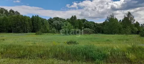 Участок в Владимирская область, Ковровский район, Новосельское с/пос, ...