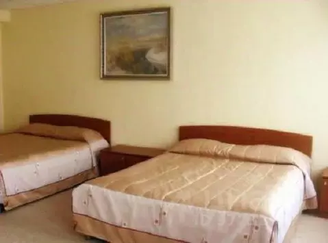 Комната Челябинская область, Магнитогорск просп. Ленина, 89 (38.0 м)