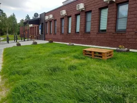 Комната Ханты-Мансийский АО, Когалым Таллинская ул., 23 (10.0 м)