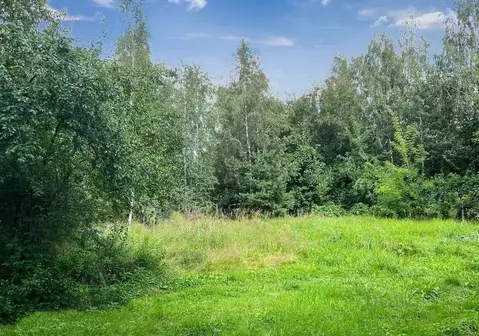 Участок в Московская область, Одинцовский городской округ, д. Раздоры ...