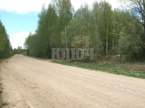 Участок в Вологодская область, Усть-Кубинский муниципальный округ, д. ...