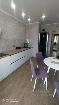 1-к кв. Пензенская область, Пенза Ключевая ул., 99 (46.0 м)