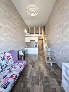 Студия Тверская область, Тверь ул. Шишкова, 91 (29.0 м)