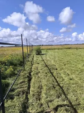 Участок в Псковская область, Псковский район, Завеличенская волость, ...