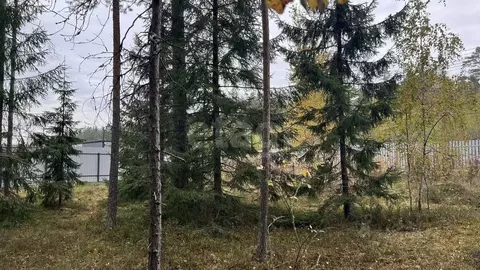 Участок в Ленинградская область, Выборгский район, Полянское с/пос, ...