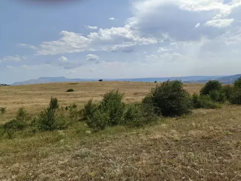 Участок в Крым, Симферопольский район, Трудовское с/пос, с. Ивановка  ...