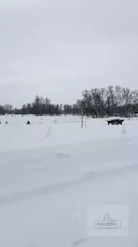 Участок в Челябинская область, Красноармейский муниципальный округ, ...