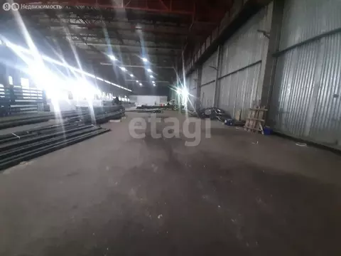 Помещение свободного назначения (4806.6 м)