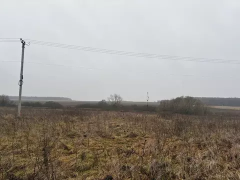 Участок в Московская область, Воскресенск  (10.11 сот.)