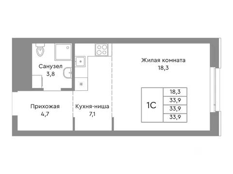 Студия Челябинская область, Челябинск ул. Энтузиастов, 32А (33.9 м)